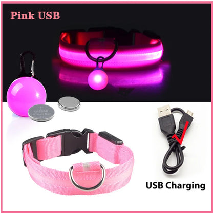 Collare luminoso per cani con ricarica USB e ciondolo, luce LED di lusso staccabile, luminoso per cani di piccola taglia, collare di sicurezza notturno per gatti all'ingrosso