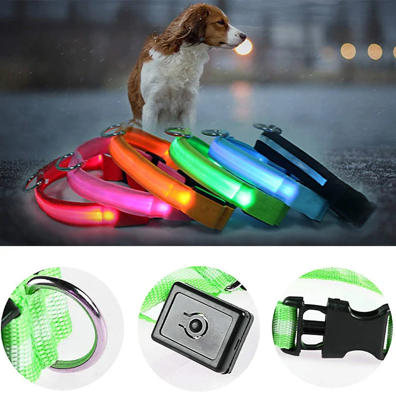 Collare luminoso per cani con ricarica USB e ciondolo, luce LED di lusso staccabile, luminoso per cani di piccola taglia, collare di sicurezza notturno per gatti all'ingrosso