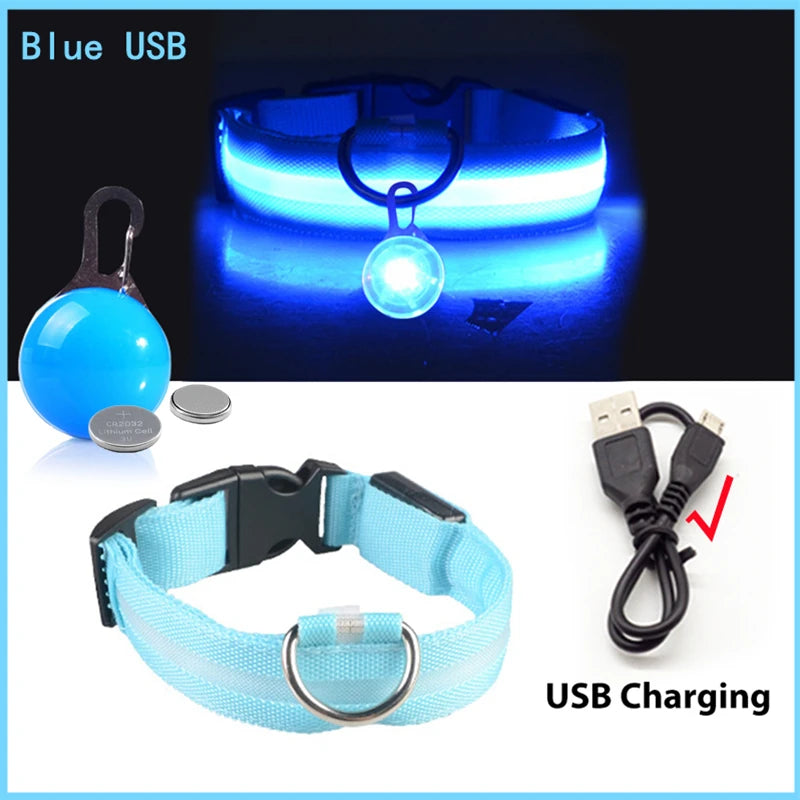 Collare luminoso per cani con ricarica USB e ciondolo, luce LED di lusso staccabile, luminoso per cani di piccola taglia, collare di sicurezza notturno per gatti all'ingrosso