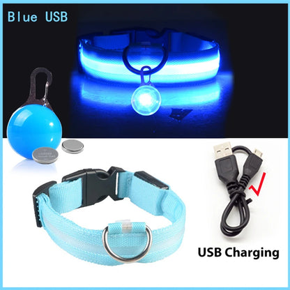 Collare luminoso per cani con ricarica USB e ciondolo, luce LED di lusso staccabile, luminoso per cani di piccola taglia, collare di sicurezza notturno per gatti all'ingrosso