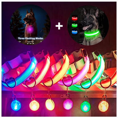 Collare luminoso per cani con ricarica USB e ciondolo, luce LED di lusso staccabile, luminoso per cani di piccola taglia, collare di sicurezza notturno per gatti all'ingrosso