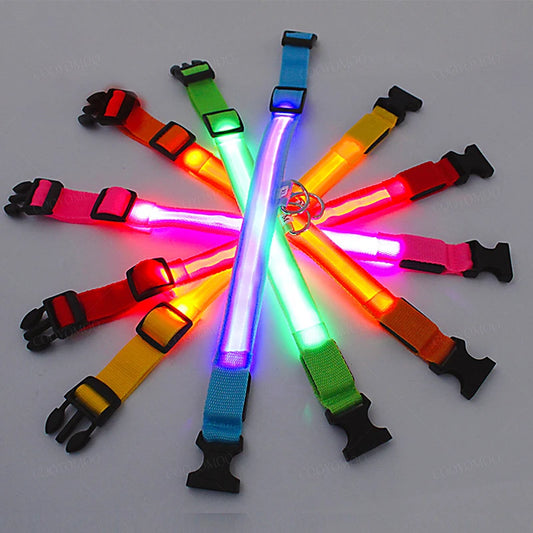 Collare luminoso per cani a 3 modalità, LED USB, per gatti e cani, staccabile, luminoso a LED notturno, per la prevenzione della perdita di cani, accessori per animali domestici