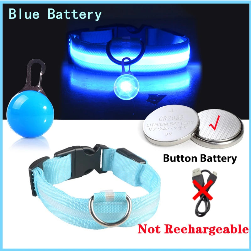 Collare luminoso per cani con ricarica USB e ciondolo, luce LED di lusso staccabile, luminoso per cani di piccola taglia, collare di sicurezza notturno per gatti all'ingrosso