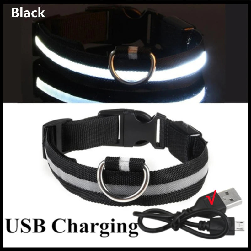 Collare luminoso per cani a 3 modalità, LED USB, per gatti e cani, staccabile, luminoso a LED notturno, per la prevenzione della perdita di cani, accessori per animali domestici