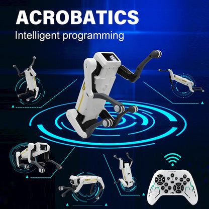 CANE ROBOT INTELLIGENTE