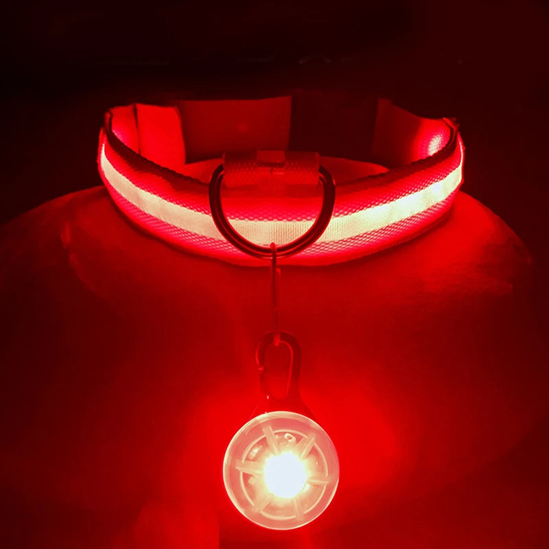 Collare luminoso per cani con ricarica USB e ciondolo, luce LED di lusso staccabile, luminoso per cani di piccola taglia, collare di sicurezza notturno per gatti all'ingrosso