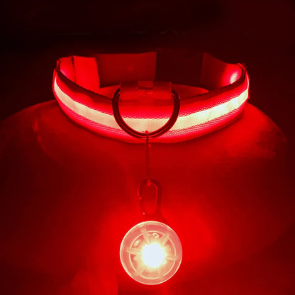 Collare luminoso per cani con ricarica USB e ciondolo, luce LED di lusso staccabile, luminoso per cani di piccola taglia, collare di sicurezza notturno per gatti all'ingrosso