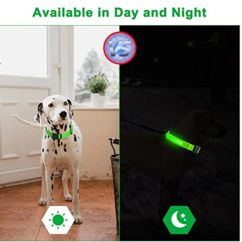 Collare luminoso per cani con ricarica USB e ciondolo, luce LED di lusso staccabile, luminoso per cani di piccola taglia, collare di sicurezza notturno per gatti all'ingrosso