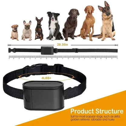Telecamera a collare per animali domestici, per telecamere e monitor per animali domestici, rotazione di 360 gradi, mini telecamera tascabile portatile da esterno grandangolare da 120 gradi