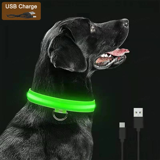 Collare luminoso per cani a 3 modalità, LED USB, per gatti e cani, staccabile, luminoso a LED notturno, per la prevenzione della perdita di cani, accessori per animali domestici
