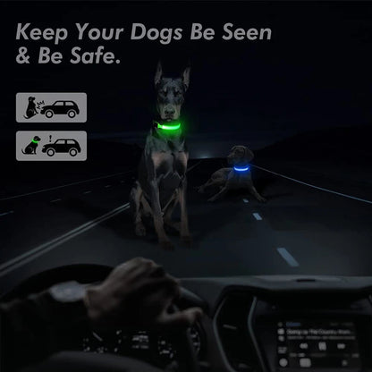 Collare luminoso per cani con ricarica USB e ciondolo, luce LED di lusso staccabile, luminoso per cani di piccola taglia, collare di sicurezza notturno per gatti all'ingrosso