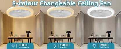 IRALAN Modern  ceiling fan with light LED Fan Light E27 Screw Fan Light Remote Control  Light Fan Ceiling Room decoration